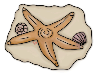 Tide Pool Clip Art.