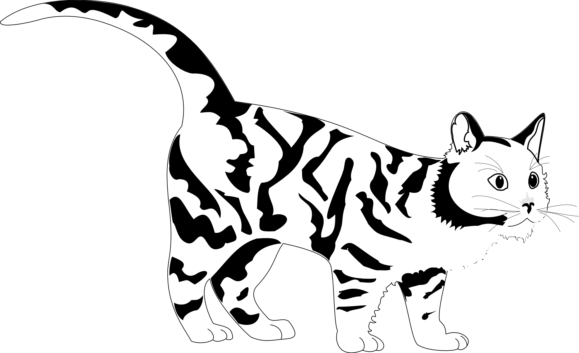 Tiger Cat Black White Line Art Coloring Sheet Colouring Page.