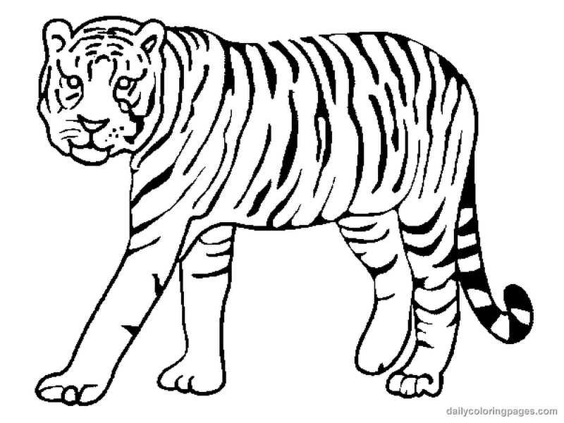 Tiger Clipart Black And White Free.