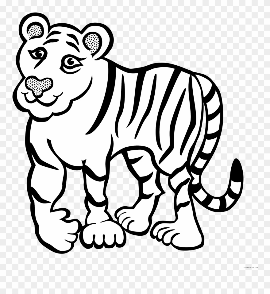 Tiger Outline Animal Free Black White Clipart Images.