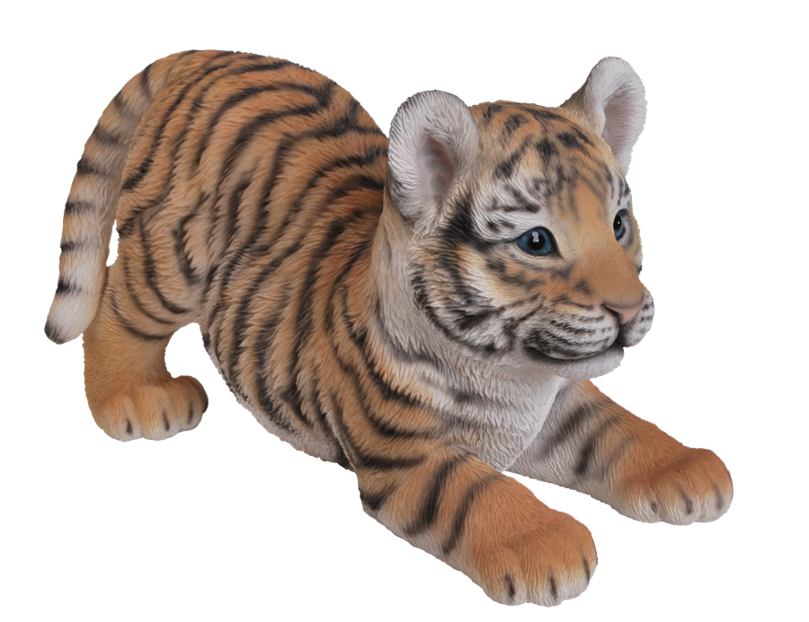 Tiger Cub Png 10 Free Cliparts Download Images On Clipground 2021