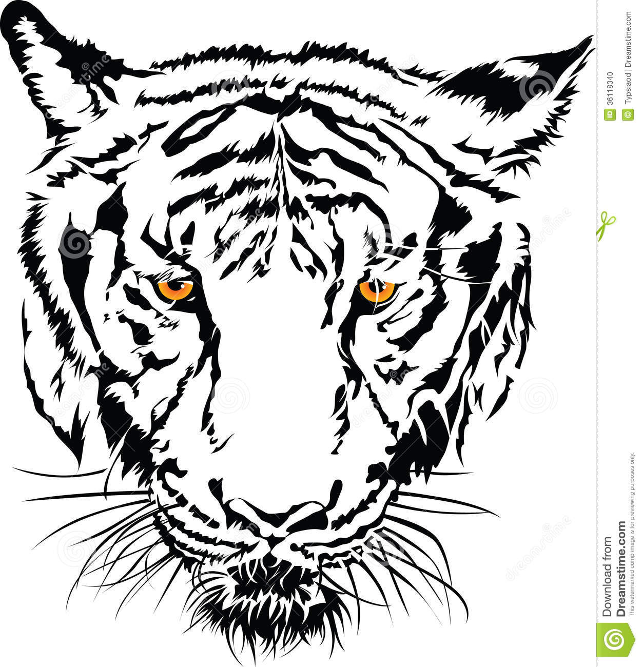 Tiger Eyes Drawing.