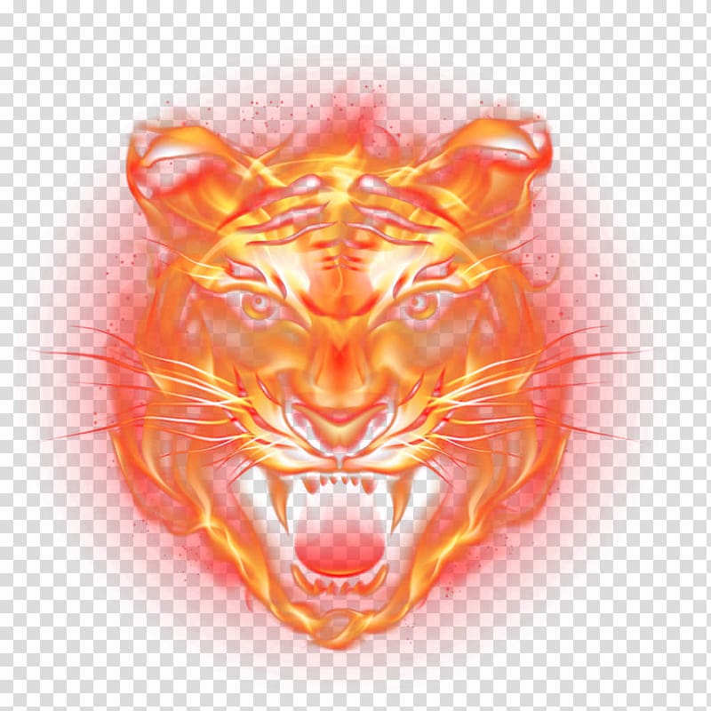 Tiger Fire Flame, tiger transparent background PNG clipart.