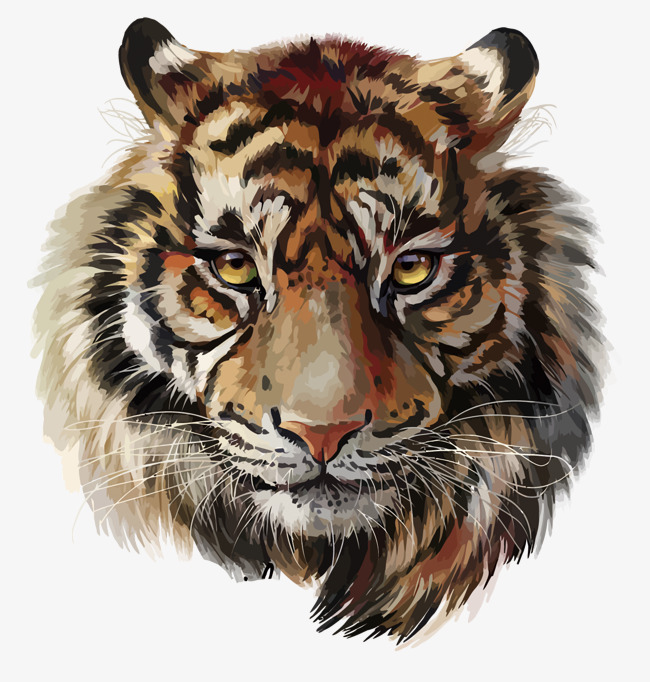 Tiger PNG Images, Download 1,801 Tiger PNG Resources with.