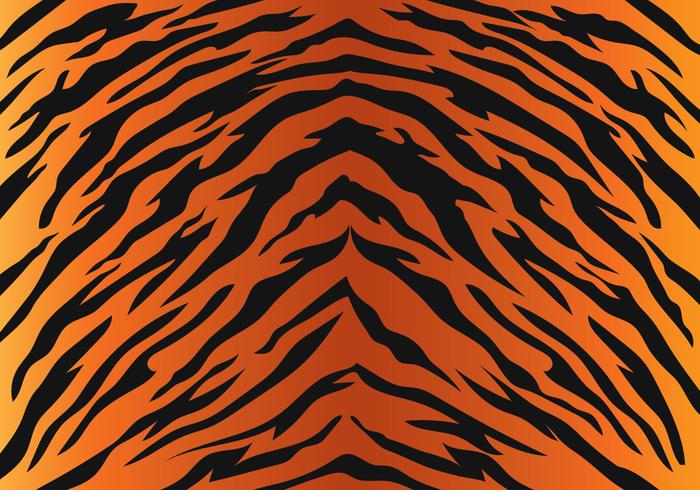 tiger stripe clipart 10 free Cliparts | Download images on Clipground 2023