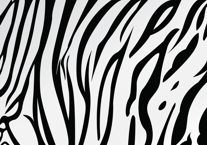 White Tiger Stripe Pattern Vector.