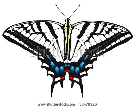 Butterfly Clip Art Species Tiger Swallowtail Stock Vector.
