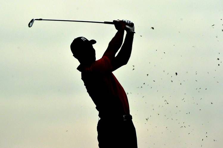 Tiger Woods Silhouette.