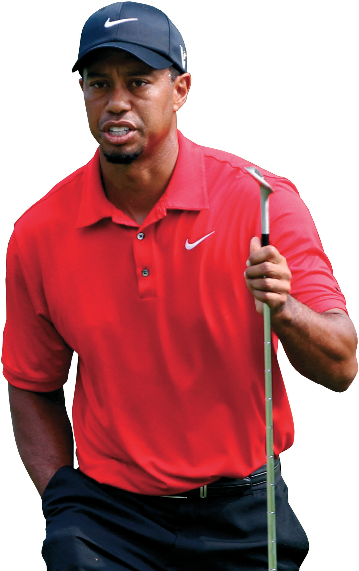Tiger Woods Png (99+ images in Collection) Page 1.