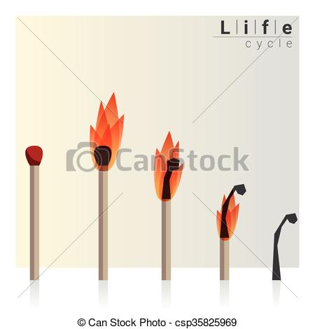 Clip Art Vector of Match time lapse, Life cycle, vector.