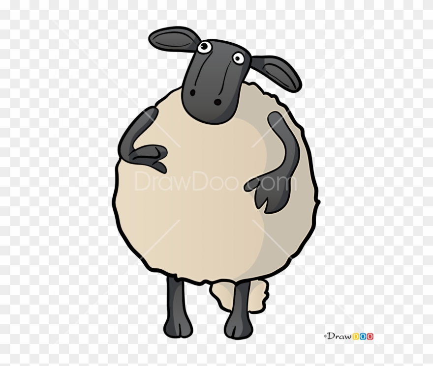 Drawing Sheep Shaun The.