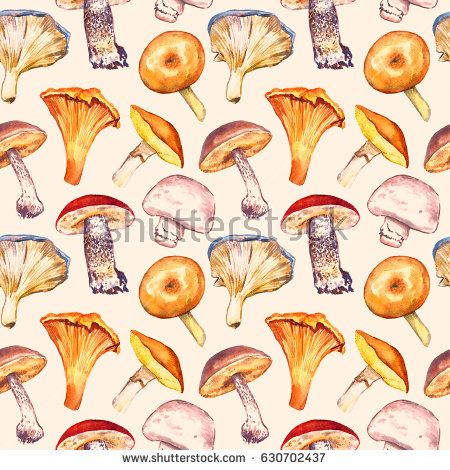 Suillus Stock Images, Royalty.