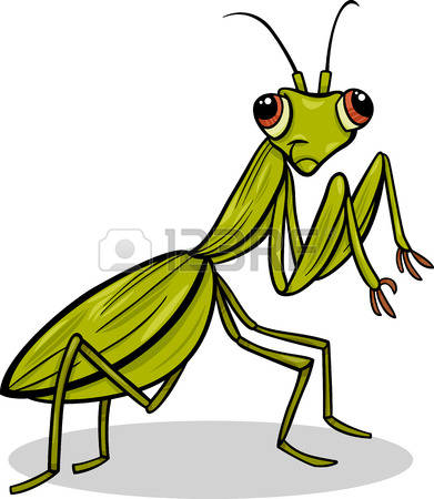 1,053 Tiny Insect Stock Vector Illustration And Royalty Free Tiny.