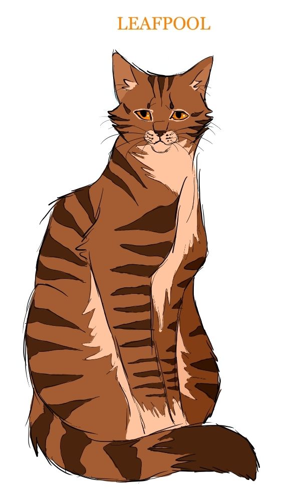 1000+ images about Warriors: Leafpool on Pinterest.
