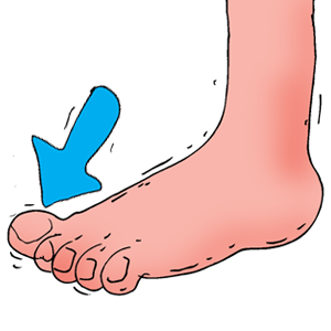 PNG Toe Transparent Toe.PNG Images..