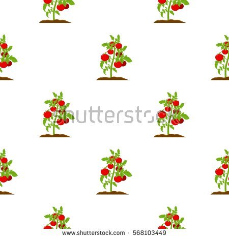 Tomato Plant Isolated Stock Vectors, Images & Vector Art.
