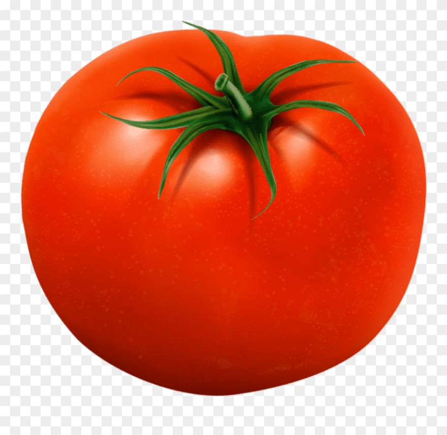 Free Png Download Tomato Transparent Png Images Background.