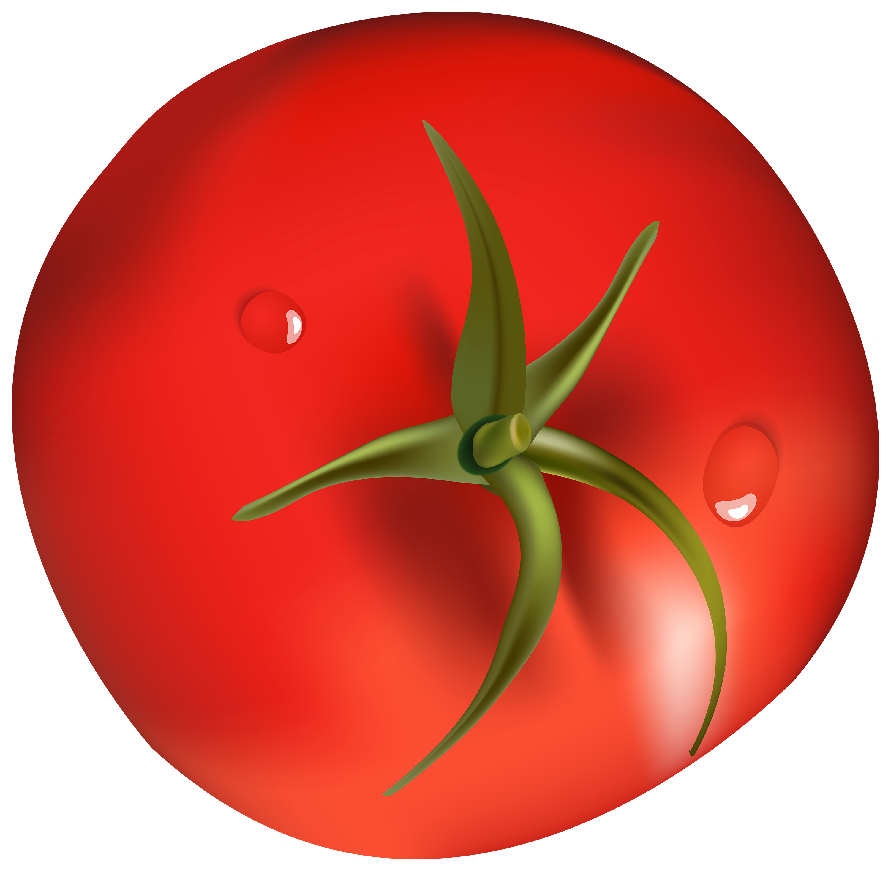 Tomato PNG Clipart.