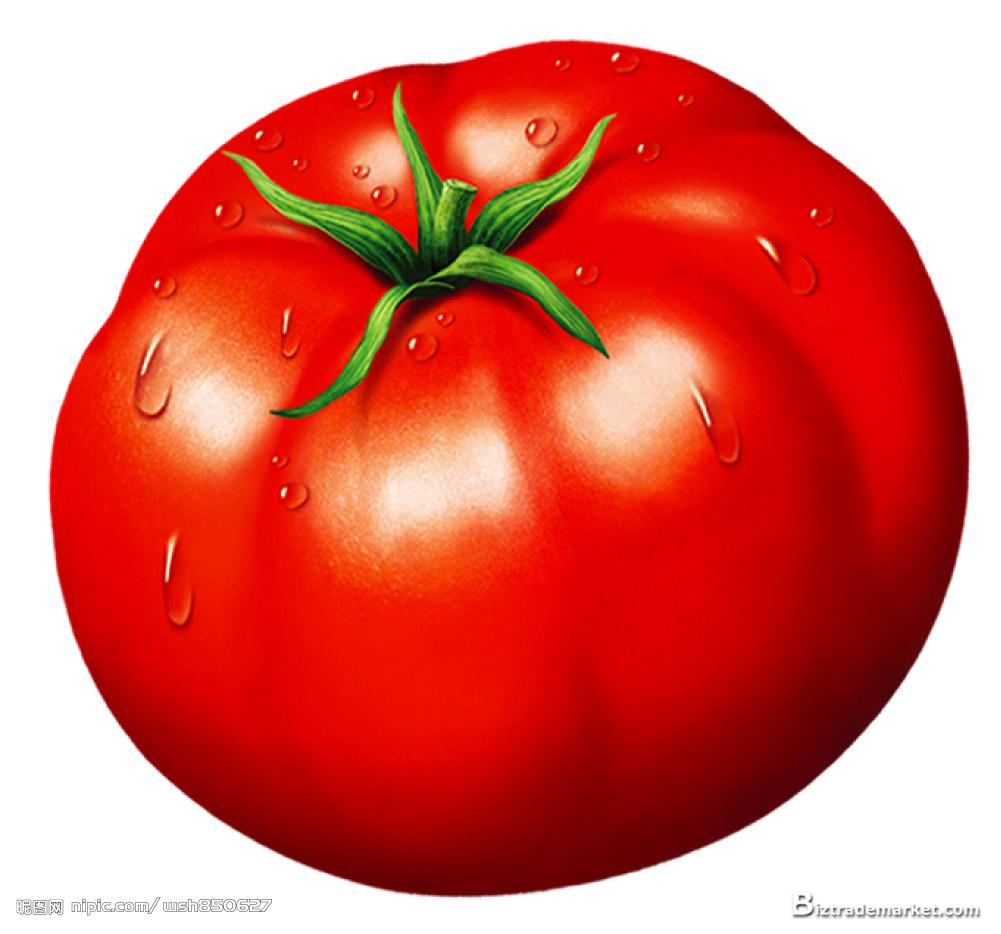 96+ Clipart Tomato.