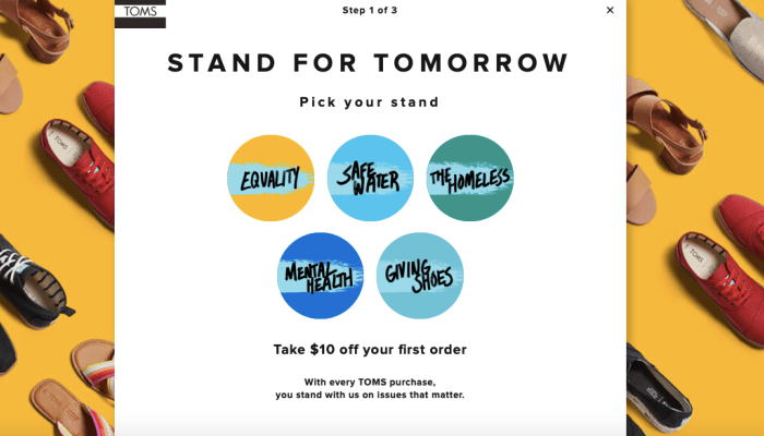 TOMS Launches Stand For Tomorrow To Invest In Organizations.