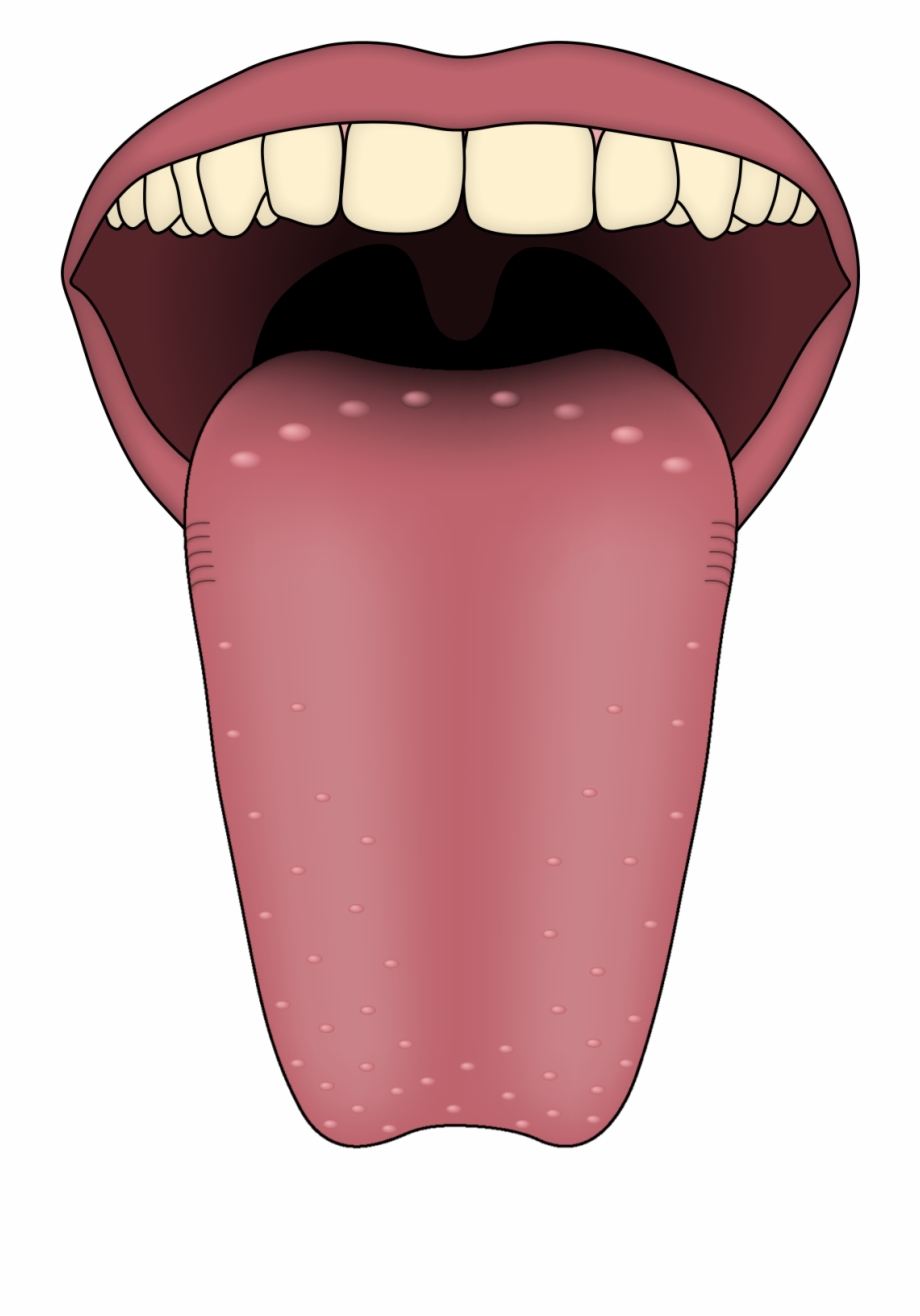 tongue clipart images 10 free Cliparts | Download images on Clipground 2021