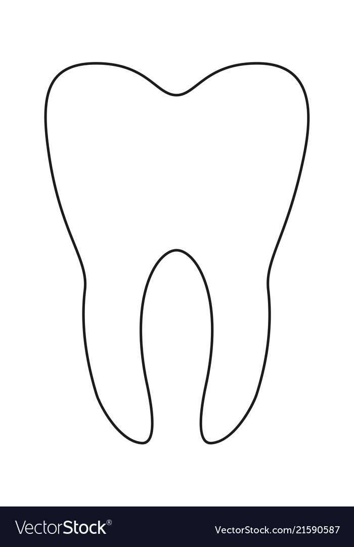 Line art black and white healthy tooth.