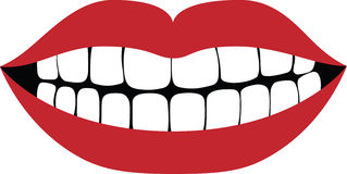 Tooth clipart teeth schliferaward 2.