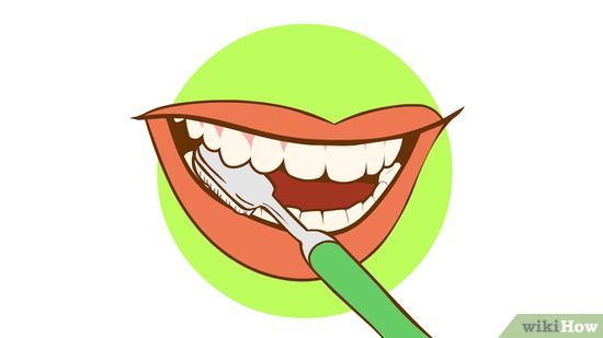 How to Brush Your Teeth: 15 Steps (with Pictures).