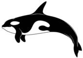Toothed Whale Clip Art.