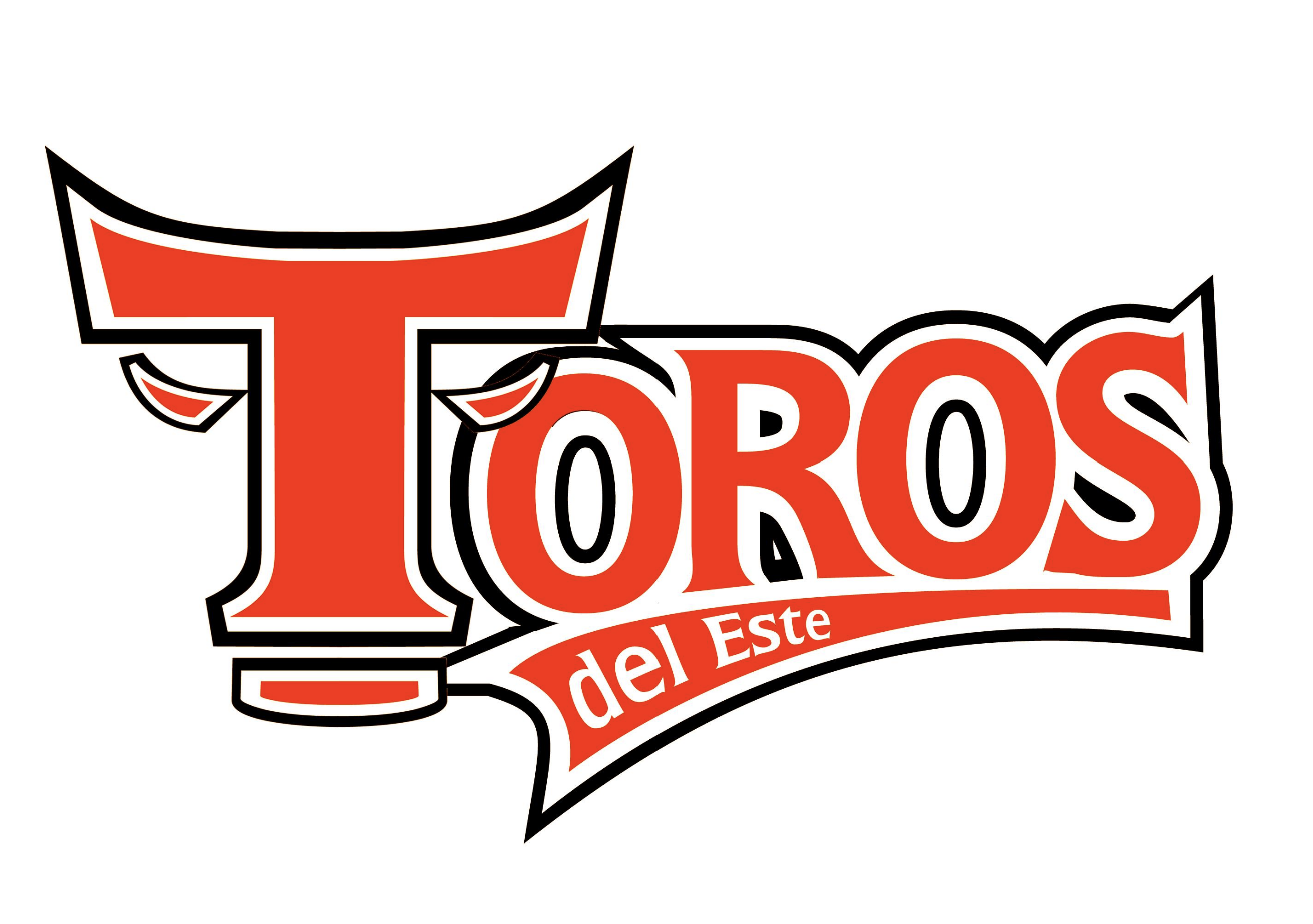 Toros Logo 6 