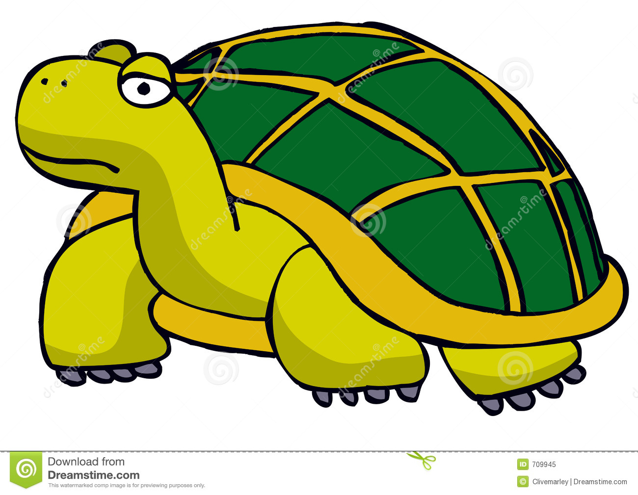 Tortoise Clipart.