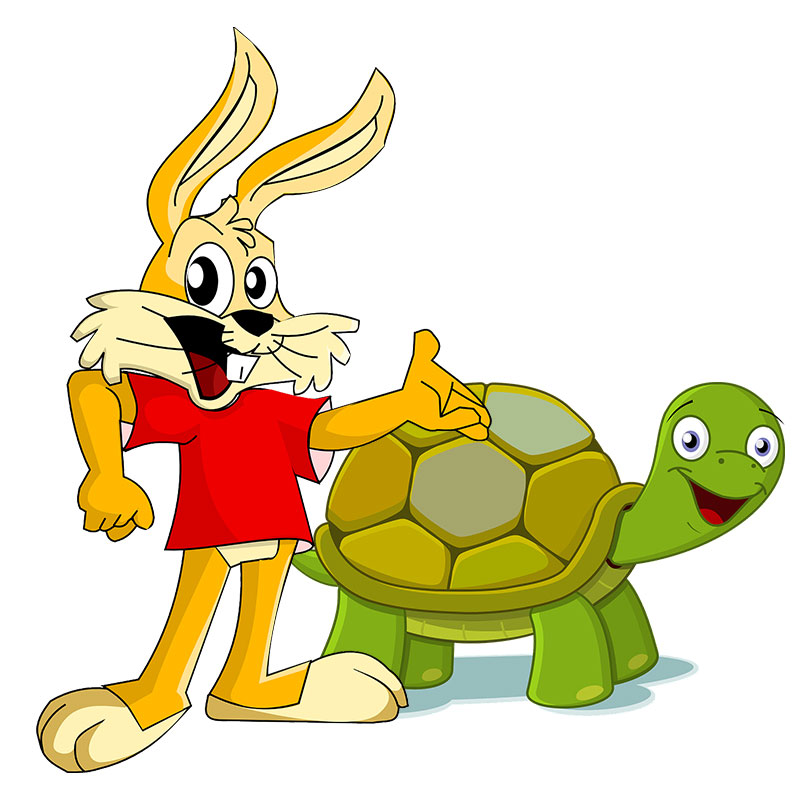 A Lesson From Tortoise And Hare.