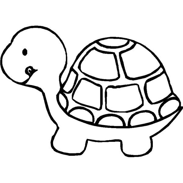 Turtle Clipart Black And White.
