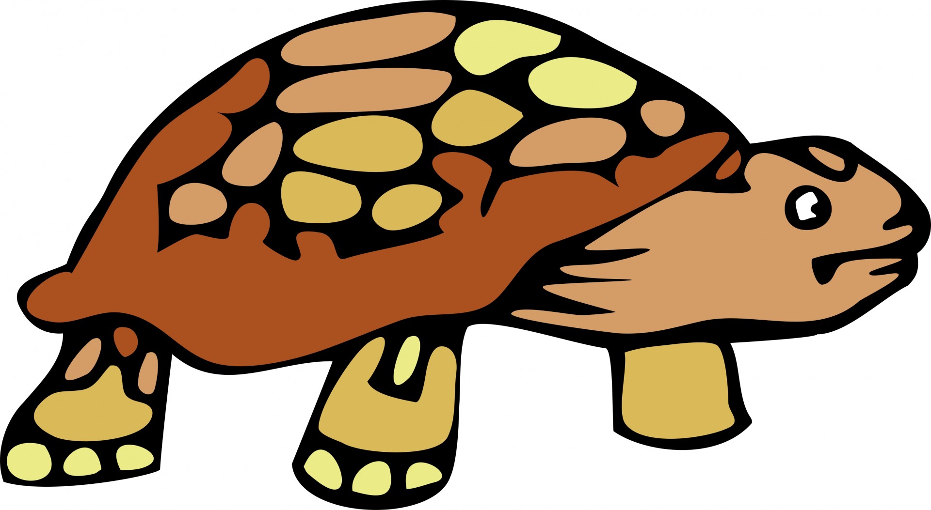 Clipart of tortoise.