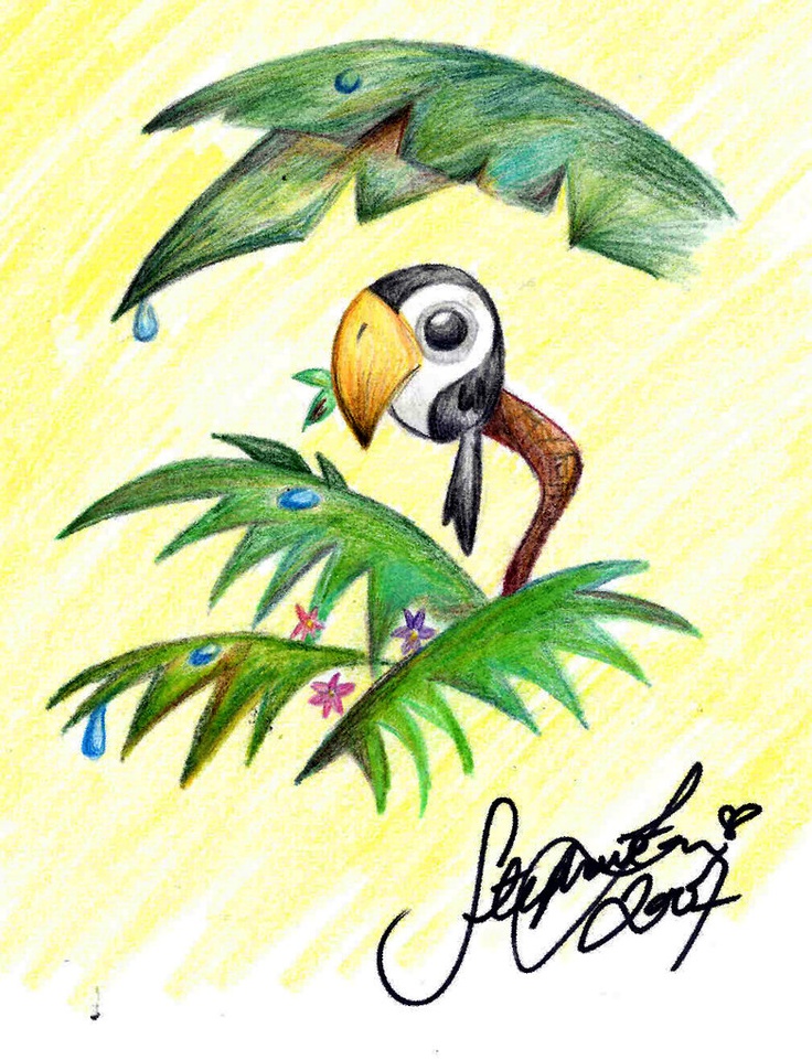 1000+ images about TOUCAN ART on Pinterest.