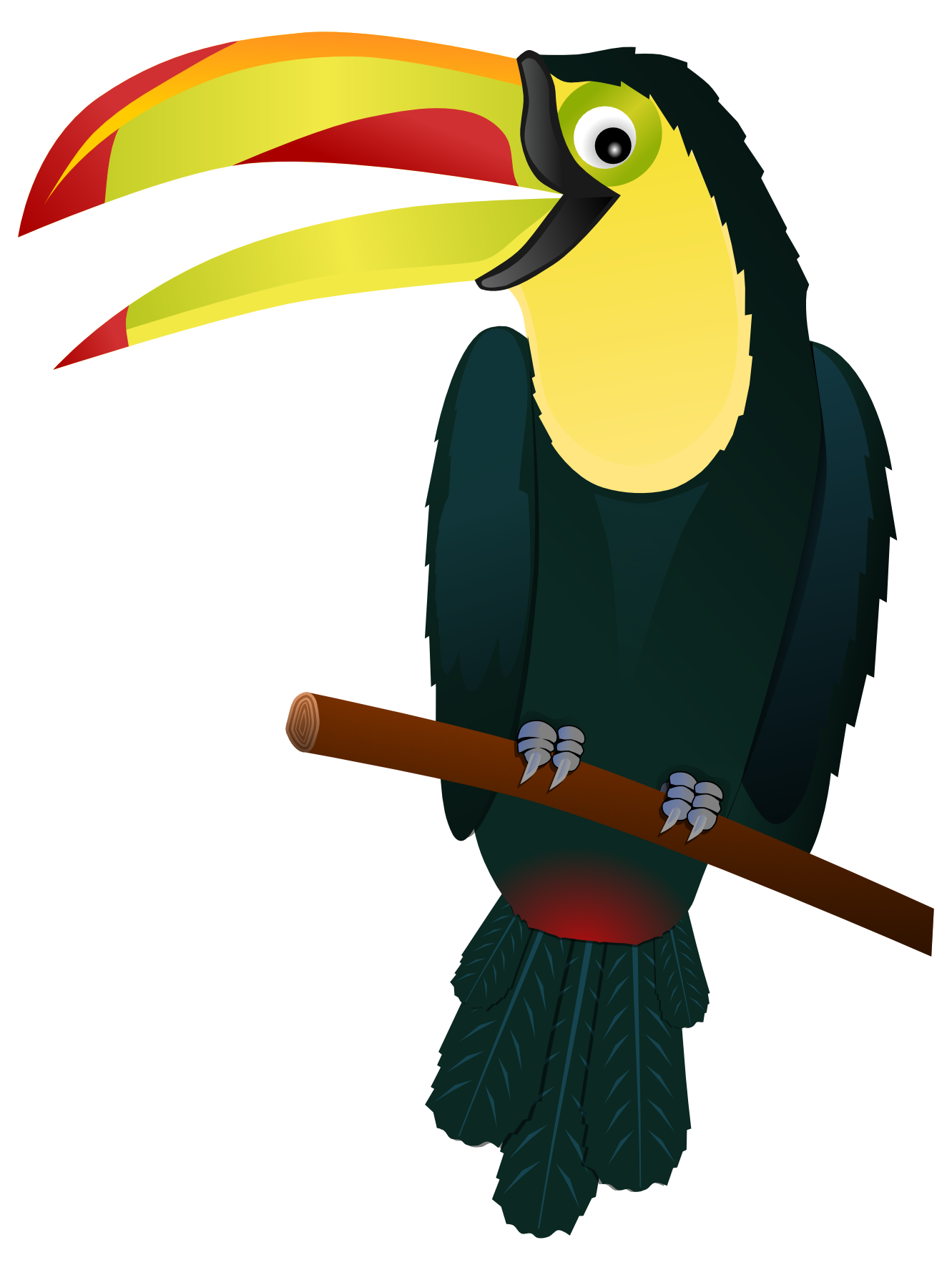 Toucan Clipart.