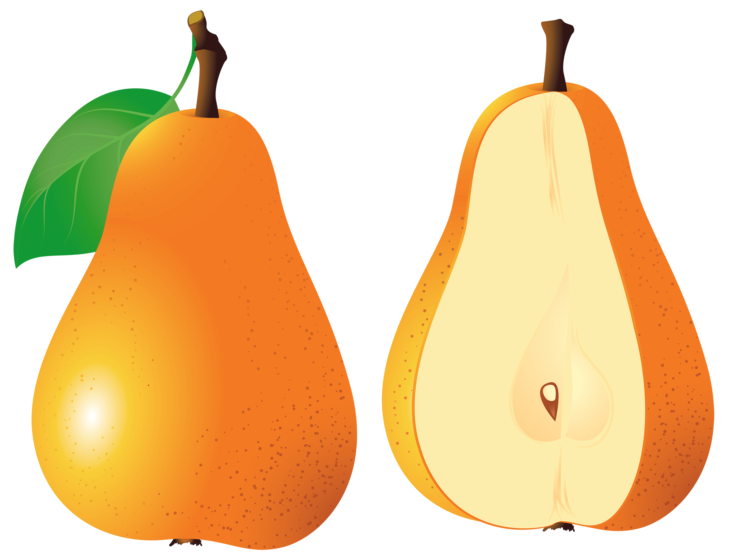 Pears Fruit PNG Clipart.