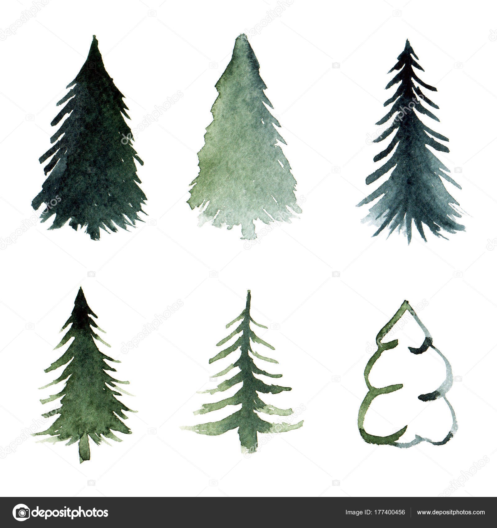 The best free Pine tree watercolor images. Download from.