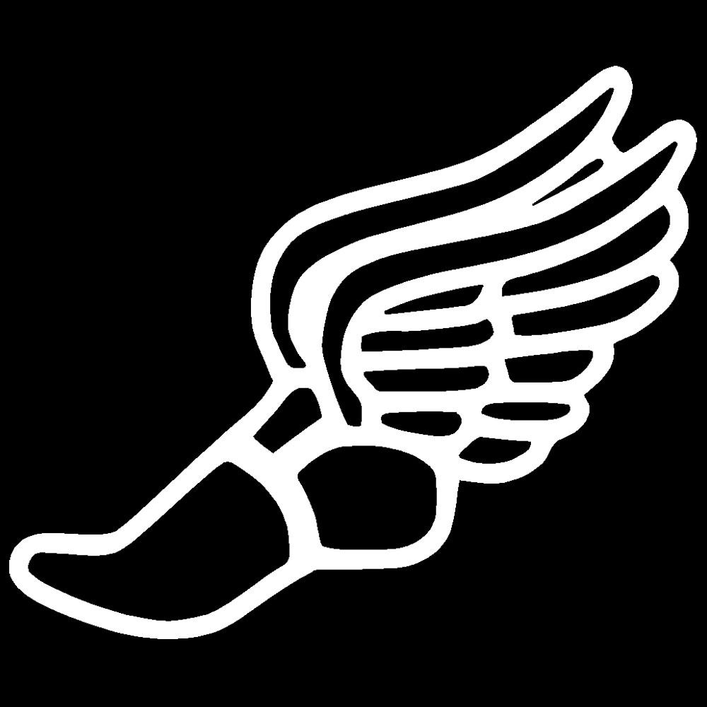 shoes with wings logos.