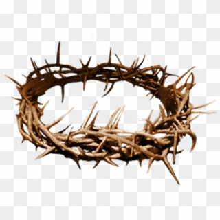 Free Crown Of Thorns Png Transparent Images.