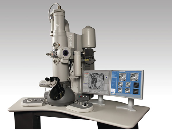 Electronic microscope