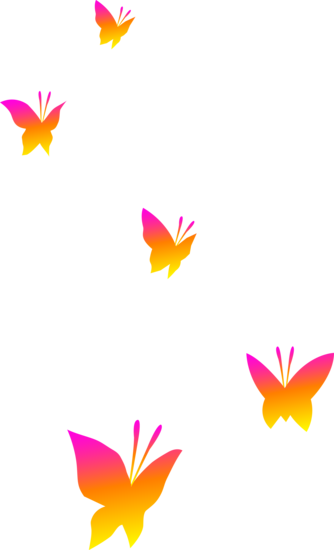 Butterflies on Transparent Background.