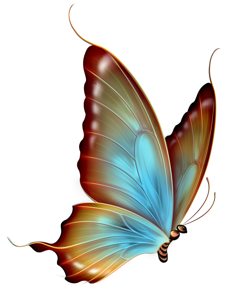 Brown and Blue Transparent Butterfly Clipart.