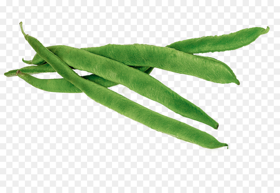 transparent background green beans clipart 10 free Cliparts Download.