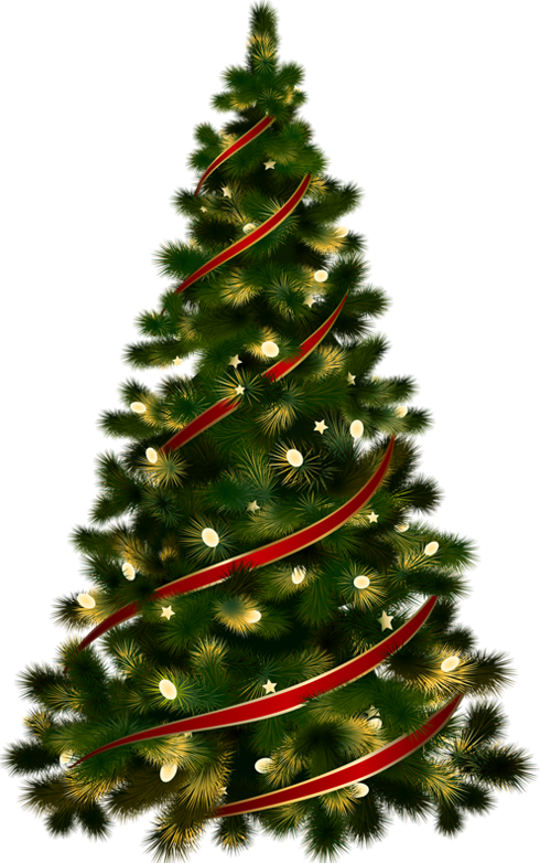 transparent christmas tree clipart 10 free Cliparts  Download images on Clipground 2024