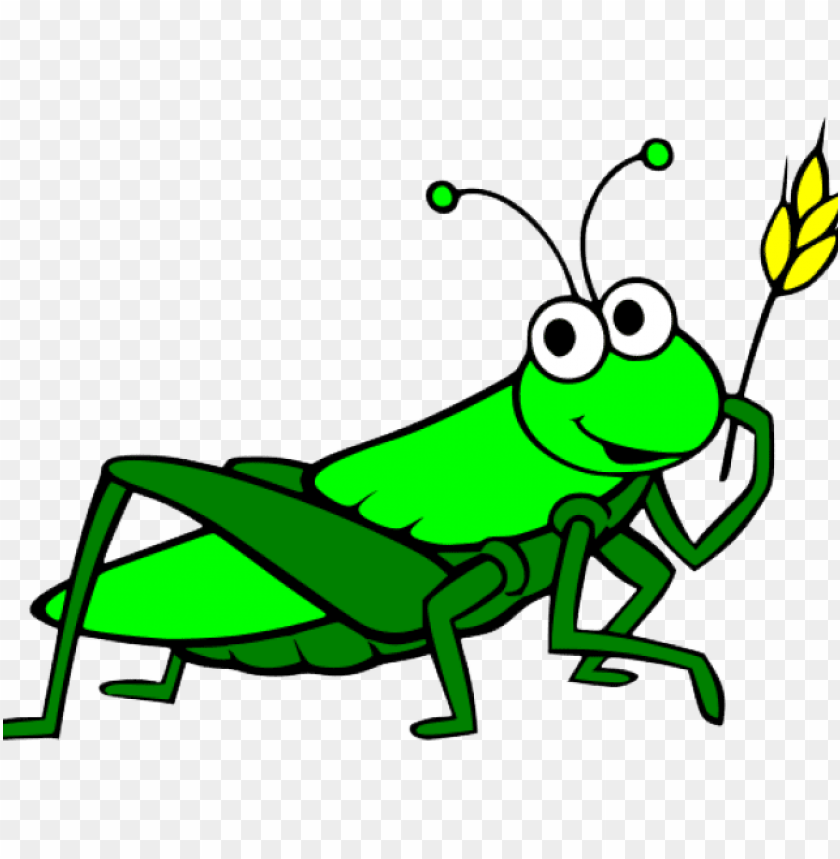 clip freeuse download grasshopper clipart cartoon.
