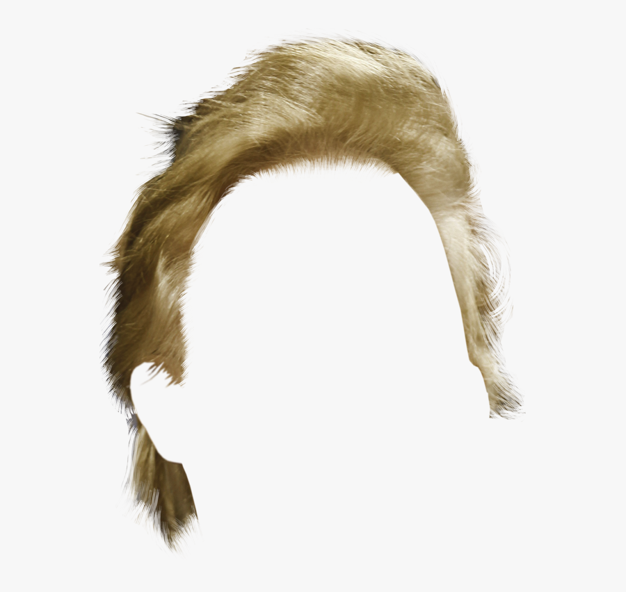 Donald Trump Hair Png , Free Transparent Clipart.