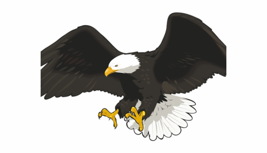 Golden Eagle Clipart Clip Art.