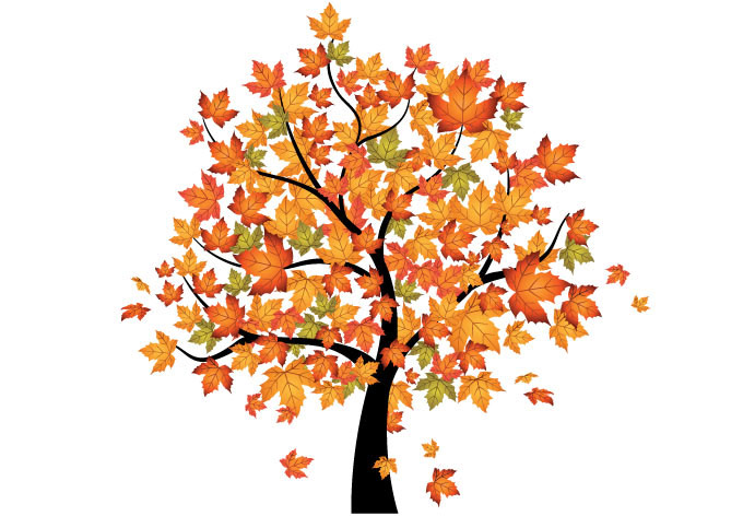 Fall Tree Clip Art & Fall Tree Clip Art Clip Art Images.