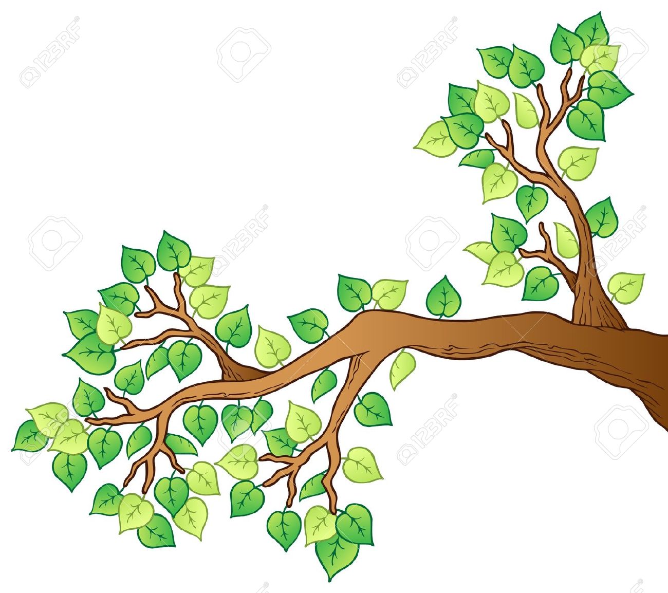 Tree Branch Clip Art & Tree Branch Clip Art Clip Art Images.